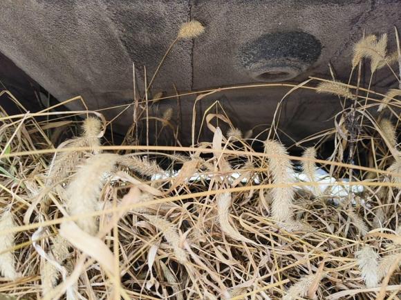 [西安·陕U] 二手大众朗逸2017款 1.6L 自动舒适版