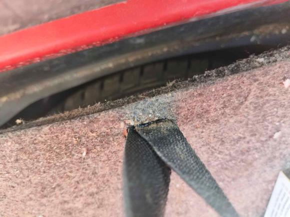 [南京·苏A] 二手斯柯达明锐2014款 1.6L 自动逸俊版