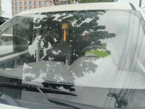 [宁波·浙B] 二手五菱汽车五菱扬光2024款 300km 舒适型客车版 75kW