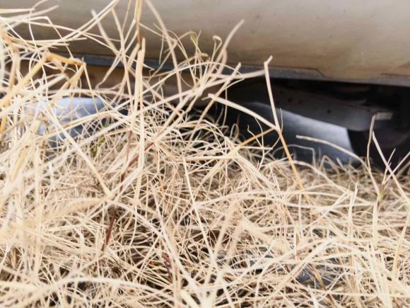 [上海·苏A] 二手大众途观2015款 1.8TSI 自动两驱豪华型