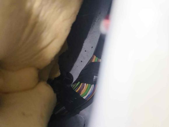 [合肥·皖A] 二手福特翼虎2015款 2.0L GTDi 四驱尊贵型