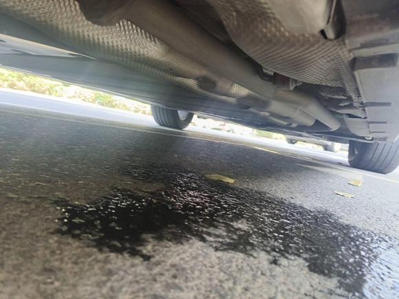 [南京·苏A] 二手比亚迪海豹06新能源2024款 DM-i 120KM尊荣型