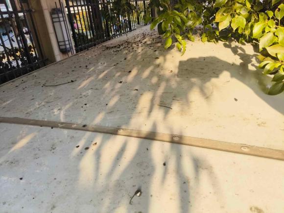 [南通·苏F] 二手开瑞海豚EV2023款 财富版