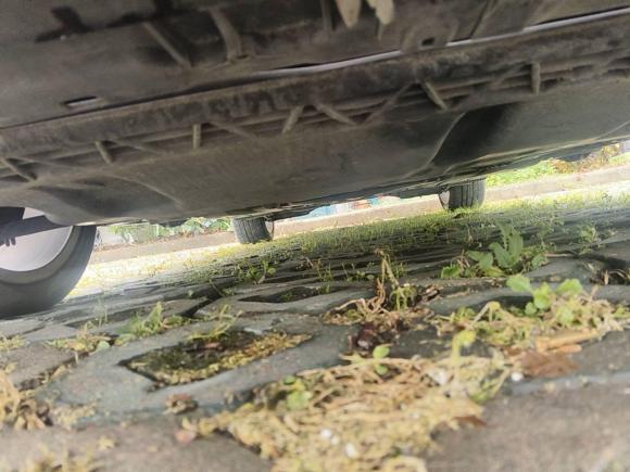 [嘉兴·浙F] 二手奥迪奥迪A32020款 Sportback 35 TFSI 时尚型 国VI