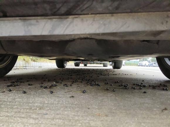 [宁波·浙J] 二手本田本田XR-V2017款 1.8L EXi CVT舒适版