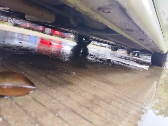 [合肥·皖A] 二手起亚福瑞迪2019款 1.6L 自动风尚版 国VI