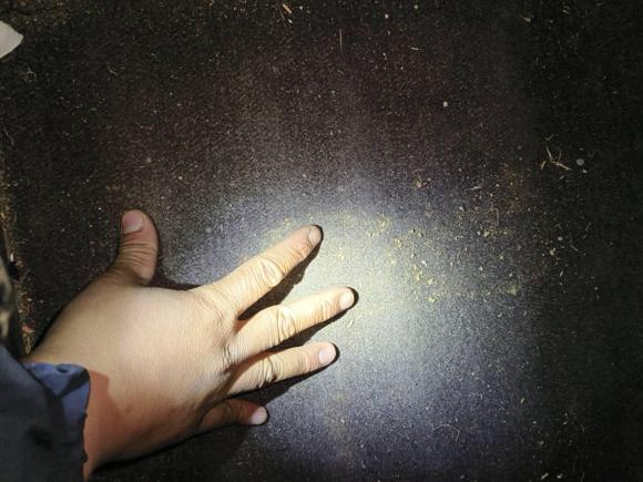 [合肥·皖G] 二手五菱汽车五菱宏光V2019款 1.5L劲取版封窗车国VI LAR