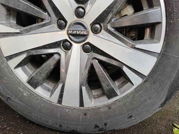 [深圳·赣C] 二手哈弗哈弗大狗2021款 1.5T DCT两驱拉布拉多版