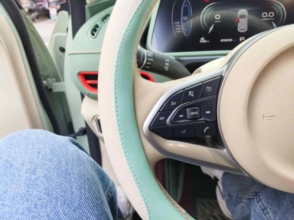 [杭州·浙A] 二手欧拉欧拉好猫2023款 501km长续航 尊贵型 磷酸铁锂