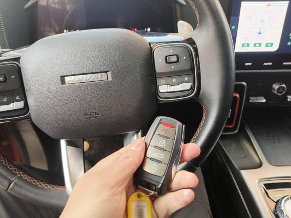 [合肥·皖A] 二手哈弗哈弗大狗2021款 1.5T DCT两驱拉布拉多版