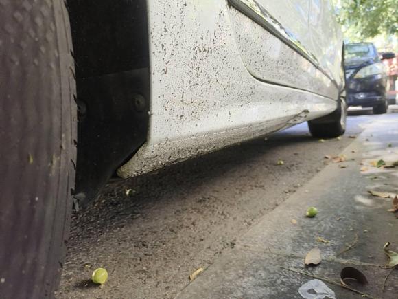 [湖州·鄂S] 二手大众速腾2018款 1.6L 手动舒适型