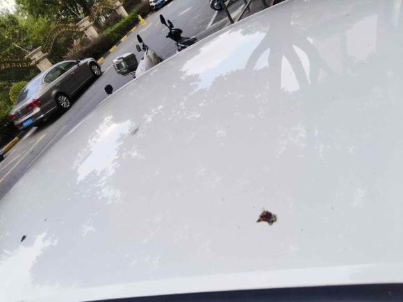 [上海·辽L] 二手本田凌派2019款 180Turbo CVT舒适版 国V