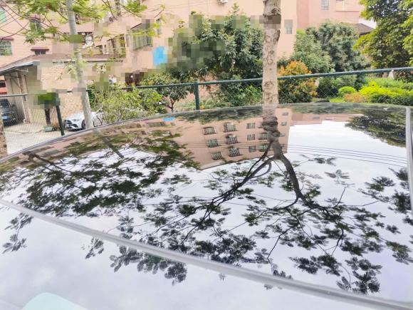 [佛山·粤A] 二手深蓝汽车深蓝S072023款 200Max增程版