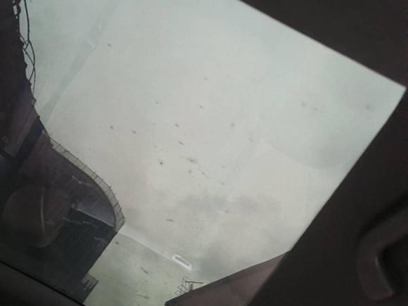 [杭州·浙A] 二手ARCFOX极狐极狐 阿尔法T52025款 520 MAX