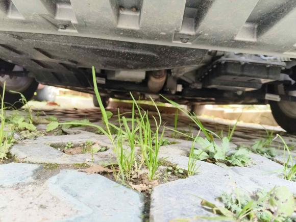 [上海·沪C] 二手荣威荣威i52021款 1.5L CVT铂金版