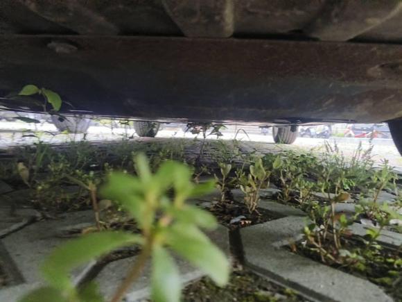 [南通·苏F] 二手现代朗动2012款 1.6L 自动尊贵型