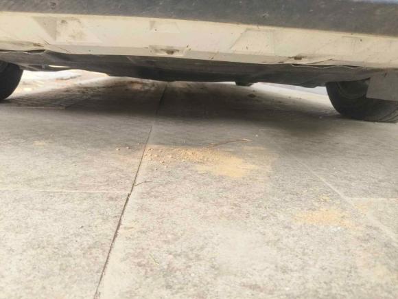 [苏州·陕U] 二手名爵MG52021款 180DVVT CVT青春豪华版