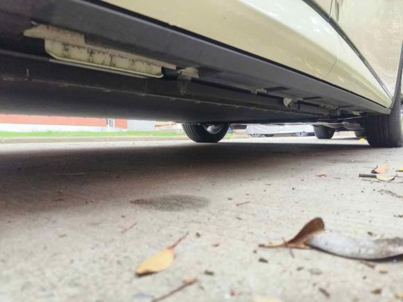 [上海·沪A] 二手比亚迪海豚2023款 420km 时尚版