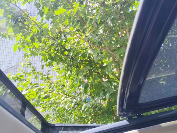 [上海·浙E] 二手别克昂科威Plus2017款 28T 四驱精英型