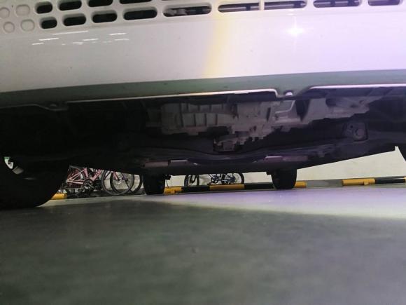 [杭州·浙A] 二手欧拉欧拉黑猫2021款 351km 标准型