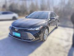 [济南·鲁A]丰田&nbsp;&nbsp;亚洲龙&nbsp;&nbsp;2019款 双擎 2.5L XLE尊贵版 国VI