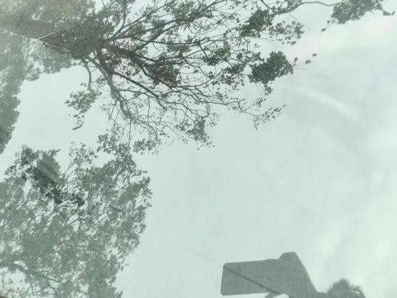 [南昌·赣M] 二手雪铁龙雪铁龙C62021款 400THP 舒适版