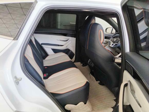 [青岛·鲁G] 二手比亚迪宋PLUS新能源2021款 EV 尊贵型