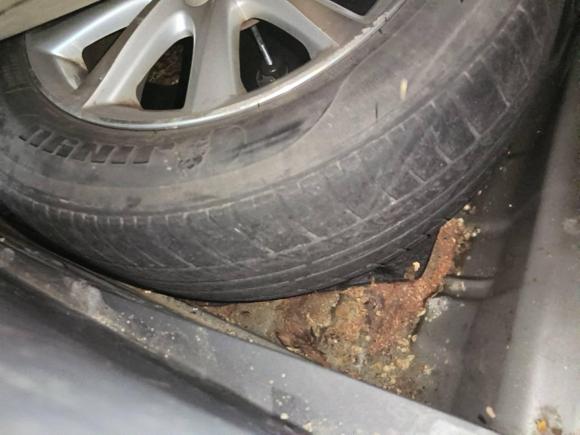 [宁波·浙B] 二手丰田凯美瑞2010款 240G 经典版