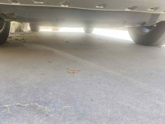 [上海·苏E] 二手哈弗哈弗H6 Coupe2016款 蓝标 1.5T 手动两驱精英型