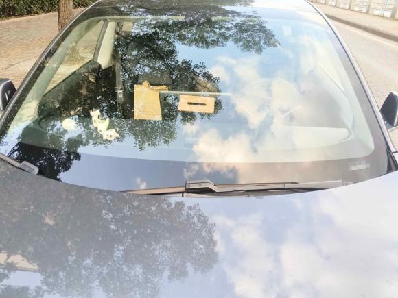 [上海·沪A] 二手特斯拉Model 32019款 标准续航后驱升级版