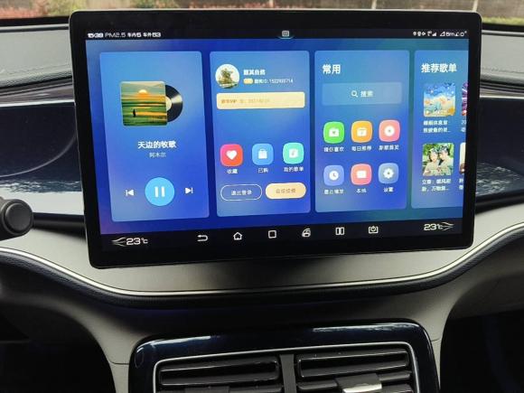 [武汉·鄂A] 二手比亚迪秦PLUS2021款 EV 500KM 尊贵型