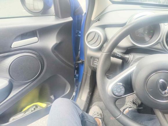 [杭州·浙A] 二手欧拉欧拉黑猫2021款 301km 基础型