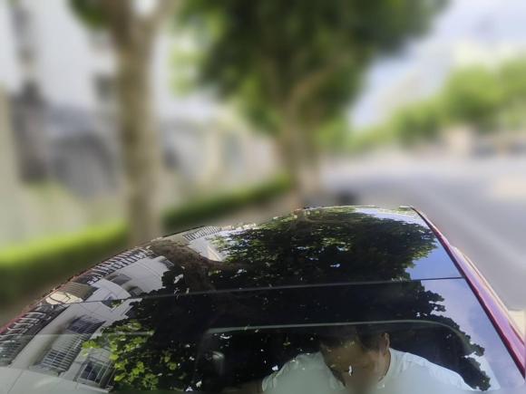 [上海·沪A] 二手特斯拉Model 32019款 标准续航后驱升级版