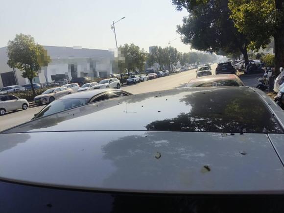 [金华·苏L] 二手路虎揽胜极光2013款 2.0T 5门耀致版