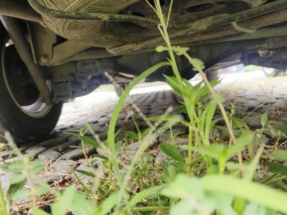 [嘉兴·浙F] 二手五菱汽车五菱宏光2019款 1.5L S舒适型国VI LAR