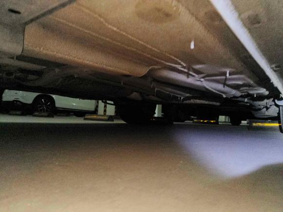 [青岛·鲁U] 二手斯柯达昕动2019款 改款 1.5L 自动标准版 国VI