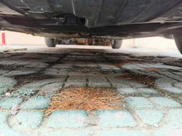 [苏州·苏E] 二手本田飞度2004款 1.5L 手动