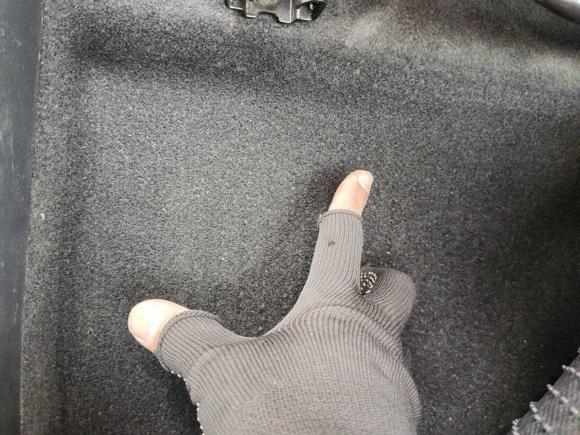 [温州·浙C] 二手日产轩逸2016款 1.6XV CVT智享版