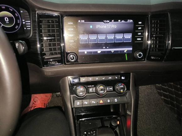 [芜湖·皖B] 二手斯柯达柯迪亚克2018款 TSI380 7座四驱旗舰版