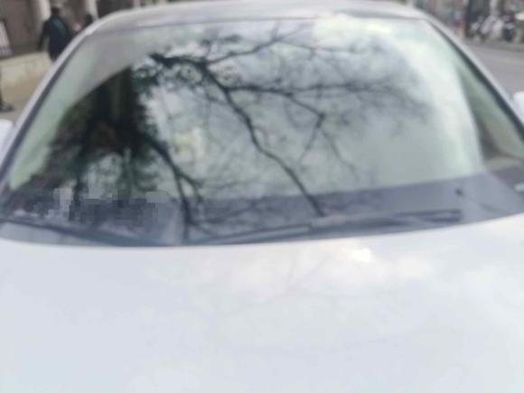 [上海·沪B] 二手奥迪奥迪Q3 Sportback2020款 40 TFSI 时尚型