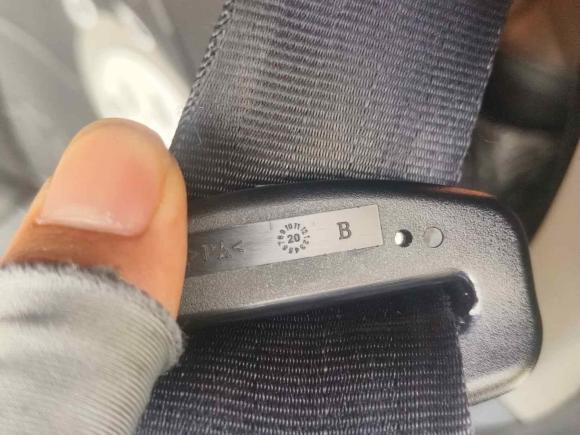 [嘉兴·浙F] 二手思皓花仙子2021款 200km 经典型