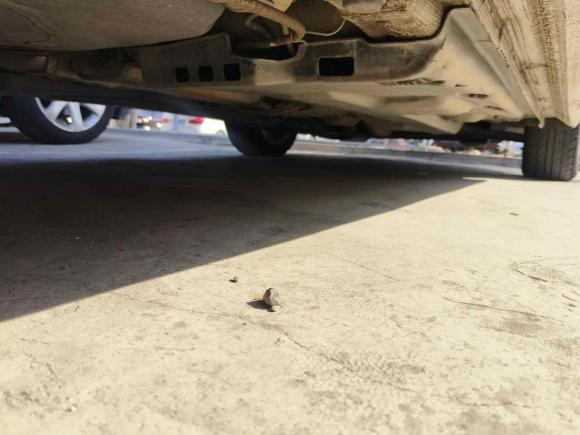 [上海·沪C] 二手大众Polo2013款 1.6L 自动豪华版