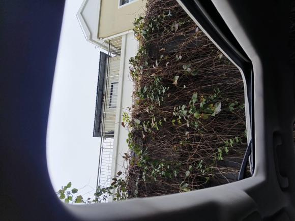 [上海·沪A] 二手雪佛兰科鲁兹2015款 1.5L 自动豪华版