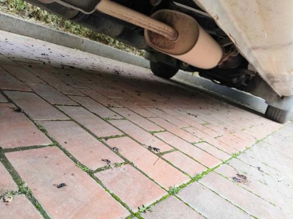 [合肥·皖A] 二手东风风行菱智2019款 V3 1.6L 2座标准型 国VI