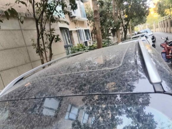 [杭州·浙A] 二手福特翼虎2015款 2.0L GTDi 四驱运动型