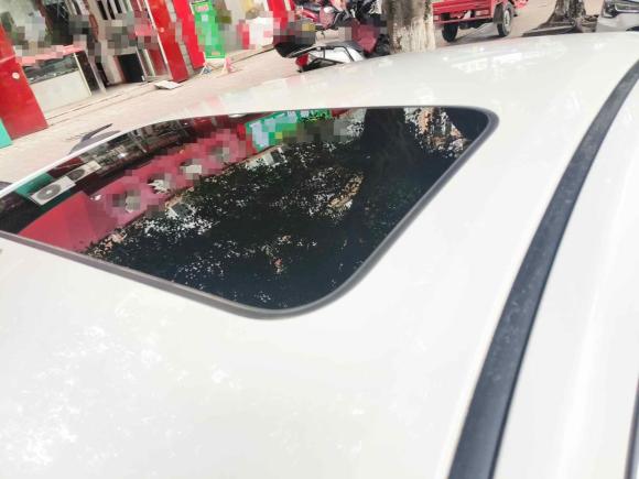 [成都·川A] 二手本田思域2016款 220TURBO CVT豪华版