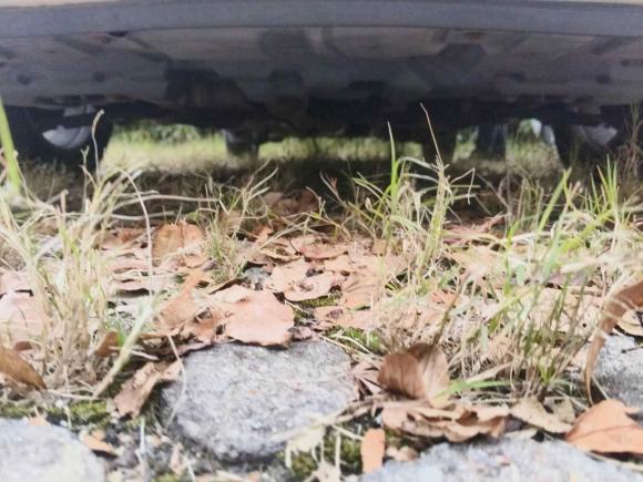 [嘉兴·浙F] 二手丰田YARiS L 致炫2014款 1.5G 手动炫动版