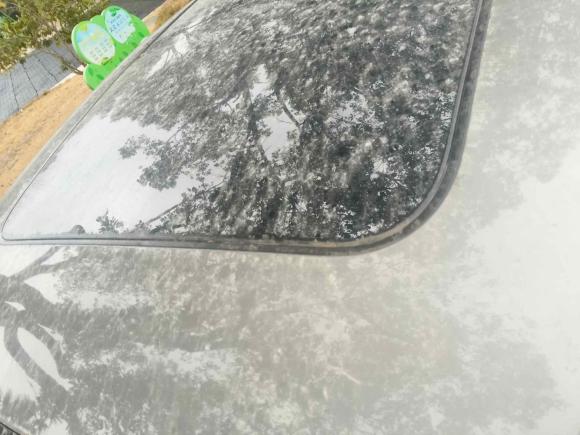 [上海·沪B] 二手奥迪奥迪A6L2017款 45 TFSI quattro 运动型