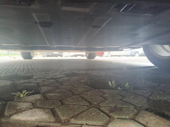 [宁波·浙B] 二手欧拉欧拉好猫2022款 400km标准续航 豪华型 三元锂