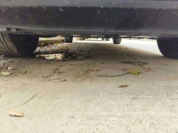 [上海·皖A] 二手江淮瑞风瑞风M42020款 2.0CTI 柴油 手动劲锐型 国VI